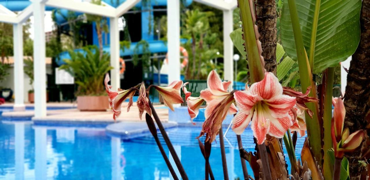 El Estudio De La Playa Benalbeach Holidays Deluxe Benalmádena