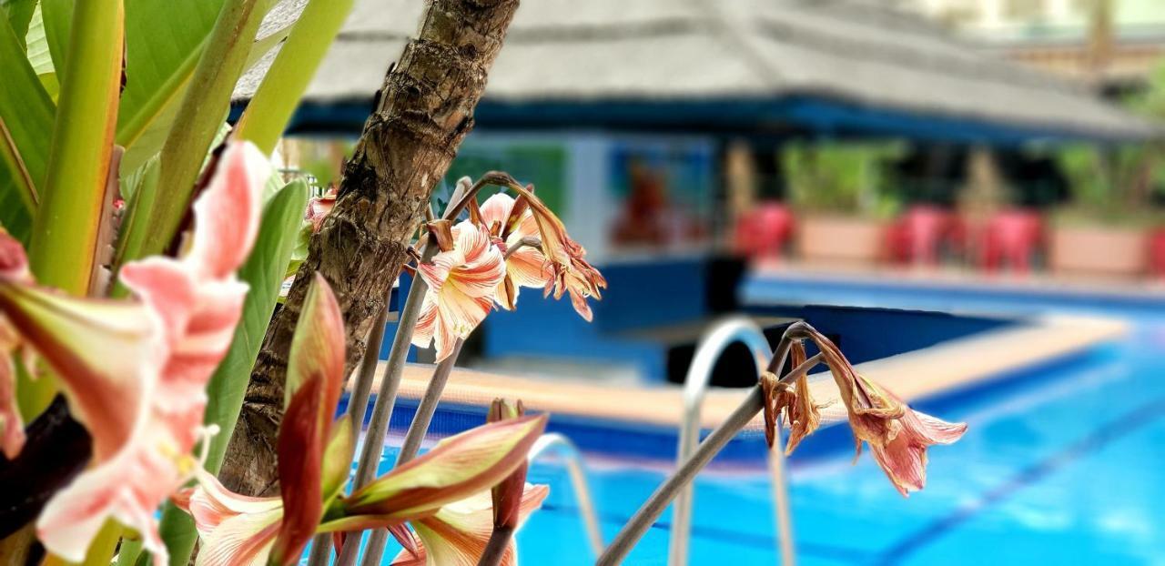 El Estudio De La Playa Benalbeach Holidays Deluxe Apartament
